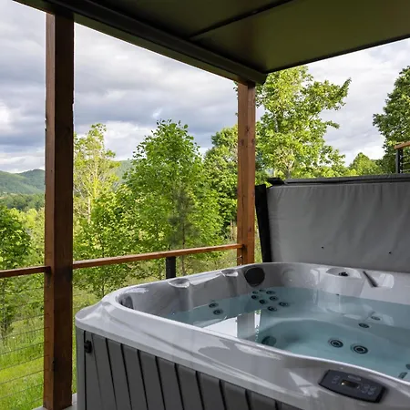 Skips Hideaway Hot Tub, Pool, Game Room Dogs